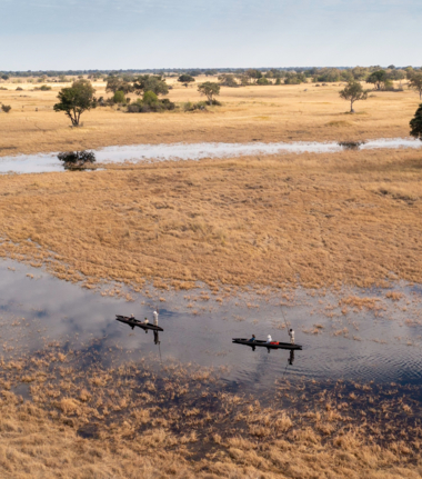 Mokoro canoes going down a river system in the Okavango
