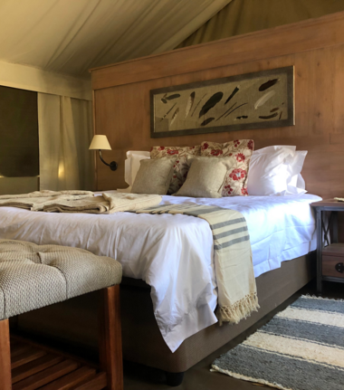 Machaba Ingwe Pan Camp Wildlife Sightings June 2026 Ingwe Pan Camp Tented Camp