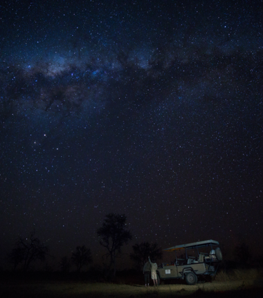 Machaba Camp Wildlife Sightings July 2026 Stargazing In The Okavango Delta