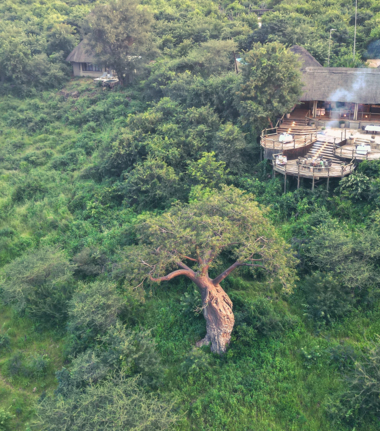 Machaba Ngoma Safari Lodge October Sightings Chobe Forest Reserve