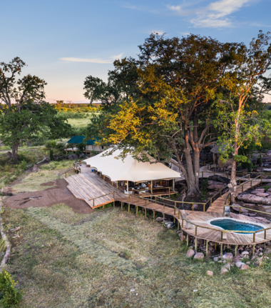 Zimbabwe Hwange Deteema Sightings September 2024 Pool Zimbabwe Hwange Deteema Sightings September 2024 Pool