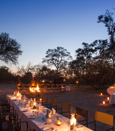 Machaba Machaba Camp Wildlife Sightings June 2026 Machaba Camp Candle Light Dinner