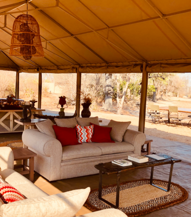 Machaba Ingwe Pan Camp Wildlife Sightings August 2026 Ingwe Lounge Outlook