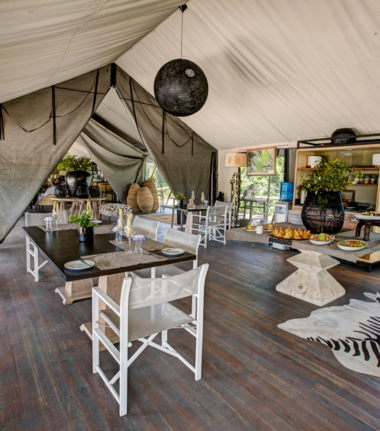 Machaba Gomoti Plains Camp Wildlife Sightings August 2026 Gomoti Plains Luxury Tented Camp