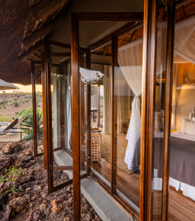 Machaba Ngoma Wildlife Sightings December 2024 Cta Lodge Machaba Ngoma Wildlife Sightings December 2024 Cta Lodge