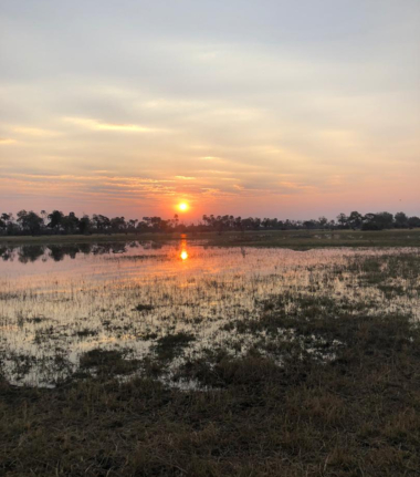 Machaba Safaris Botswana Okavango Delta Gomoti Plains August 2020 Cta Delta