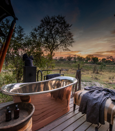 Willdife Sightings Gomoti Plains Botswana August 2024 Safari Experience