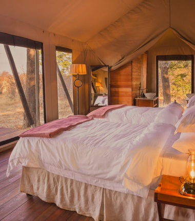 Machaba Verneys Camp Wildlife Sightings July 2025 Verneys Camp Family Room