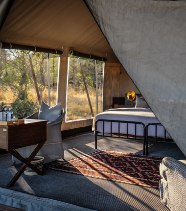 Machaba Camp Wildlife Sightings August 2026 Luxury Tented Camp In Botswana