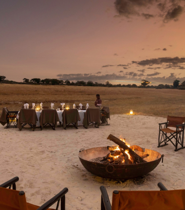 Okavango Delta Wildlife Sightings Kiri Camp Feb 2024 The Safari Experience