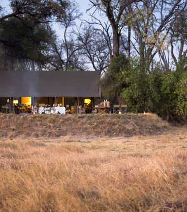 Machaba Botswana Okavango Delta Little Machaba Camp Lion 2018