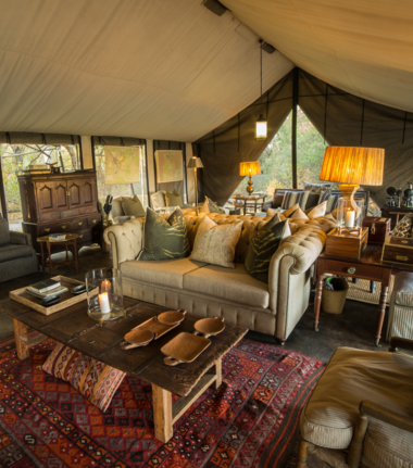 Machaba Camp Wildlife Sightings March 2026 Machaba Camp Common Area