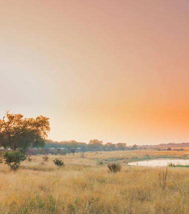 Hwange National Park.jpg