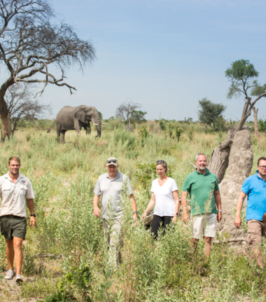 Walking Safari Cta.jpg Walking Safari Cta.jpg