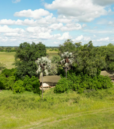 Machaba Monachira Camp Wildlife Sightings March 2026 Monachira Camp During Wet Season