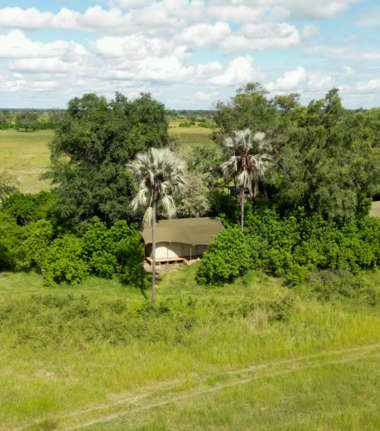 Machaba Monachira Camp Wildlife Sightings May 2026 Monachira Camp In The Sunlight