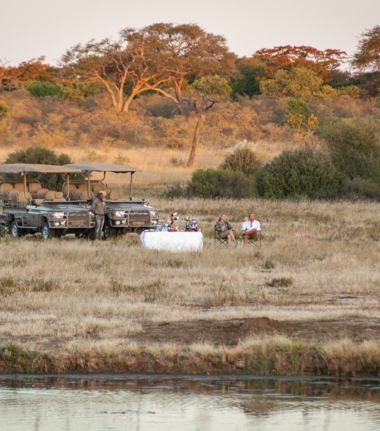 Machaba Verneys Camp Willdife Sightings December 2024 Cta Safari Experience Machaba Verneys Camp Willdife Sightings December 2024 Cta Safari Experience