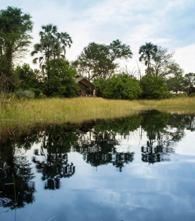 Machaba Camp Wildlife Sightings March 2025 Luxury Tented Camp In The Okavango Delta