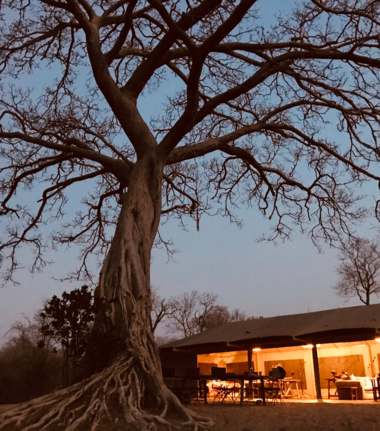 Machaba Ingwe Pan Camp Wildlife Sightings May 2025 Ingwe Pan Under The Full Moon Machaba Ingwe Pan Camp Wildlife Sightings May 2025 Ingwe Pan Under The Full Moon