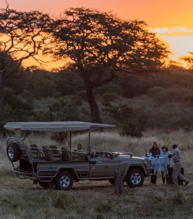 Machaba Verneys Camp Wildlife Sightings October 2025 Evening Safari