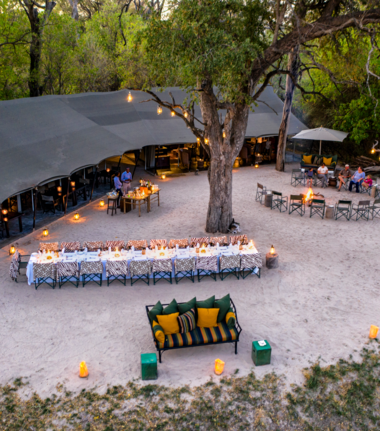 Machaba Camp Wildlife Sightings May 2026 Machaba Camp Supper