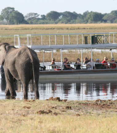 Machaba Ngoma Safari Lodge October Sightings Elephant By River