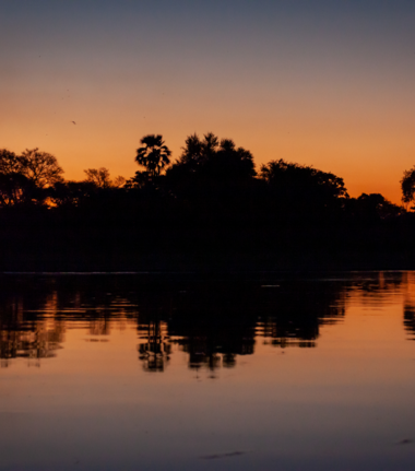 Machaba Kiri Camp Wildlife Sightings April 2026 Kiri Camp Csunset