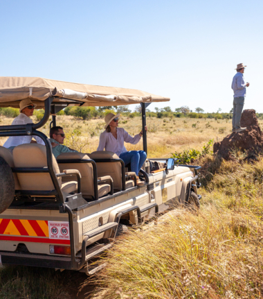 Deteema Sightings Game Drive