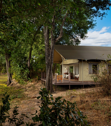 Zimbabwe Mana Pools Ingwe Pan Tent Zimbabwe Mana Pools Ingwe Pan Tent