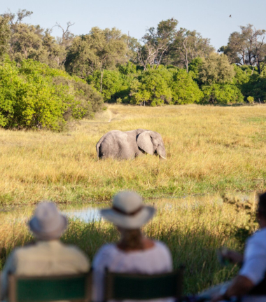Machaba Botswana Okavango Delta Machaba Camp Cta