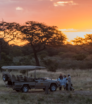 verneys-safari-experience