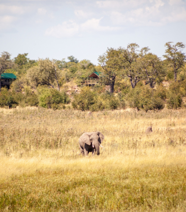 Explore Hwange Cta.jpg