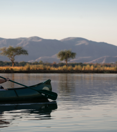 Banner Willdife Sightings Mana River Camp Zimbabwe September 2024 Safari Experience