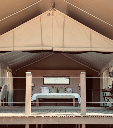 Zimbabwe Mana Pools Ingwe Pan Sightings July 2021  Room