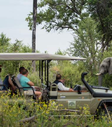 Machaba Safaris   Botswana   Gomoti Plains   Game Drive Machaba Safaris   Botswana   Gomoti Plains   Game Drive