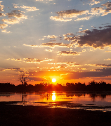 Machaba Ngoma Safari Lodge Wildlife Sightings December 2025 Chobe Sunset