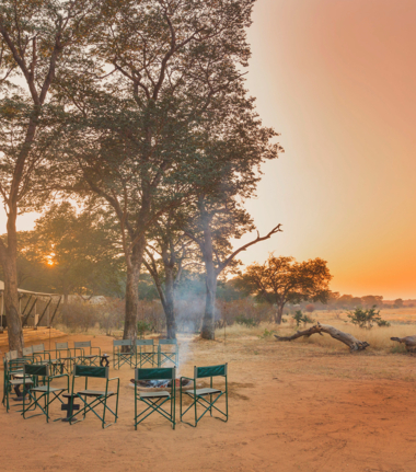 Machaba Safaris Zimbabwe Verneys Camp Wildlife Stories July 2022 CTA Verneys Camp Machaba Safaris Zimbabwe Verneys Camp Wildlife Stories July 2022 CTA Verneys Camp
