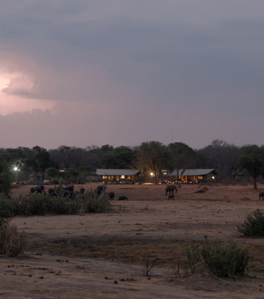 Machaba Verneys Camp Wildlife Stories Nov 2025 Camp