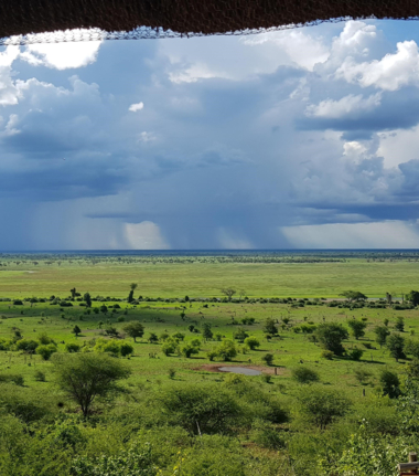 Machaba Botswana Chobe Ngoma Sighting February 2020 Chobe Cta