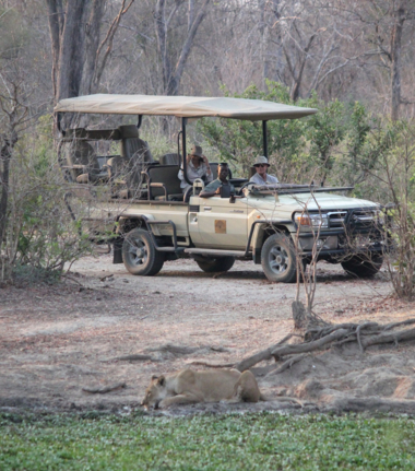 Safari Game Drive at Ingwe Pan Safari Game Drive at Ingwe Pan
