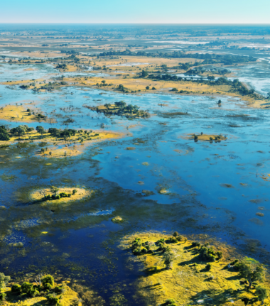 Machaba Monachira Camp Wildlife Sightings May 2026 Okavango Delta Flood Plains