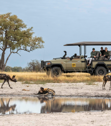 Machaba Safaris   Botswana   Okavango Delta   Kiri Camp   Wildlife Sightings   April 2023   Kiri Game Drive