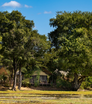 Ingwe Pan Wildlife Sightings September 2024 Tented Camp