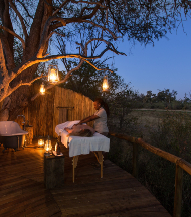 Machaba Camp Wildlife Sightings December 2025 Spa At Machaba Camp