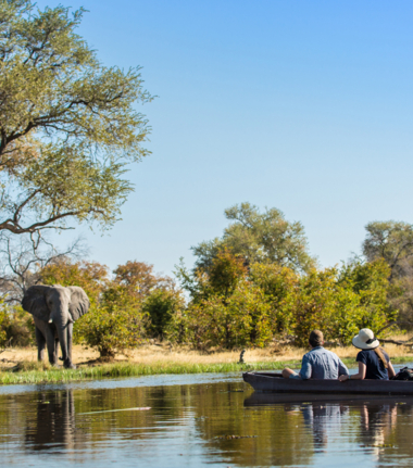 Botswana   Okavango Delta   Machaba Camp   Wildlife Stories   Feb 2022   Machaba Camp Mokoro Botswana   Okavango Delta   Machaba Camp   Wildlife Stories   Feb 2022   Machaba Camp Mokoro