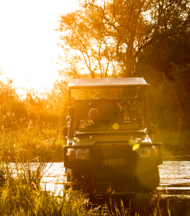 Willdife Sightings Machaba Camp Botswana September 2024 Activities