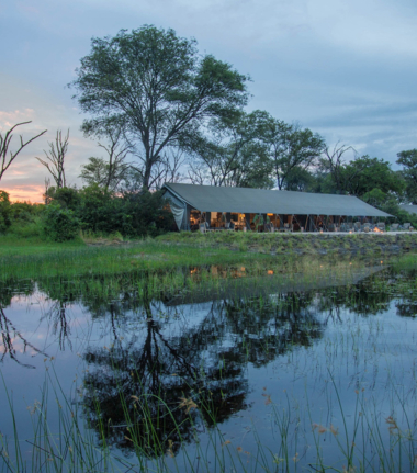 Machaba Gomoti Plains Camp Wildlife Sightings December 2025 Gomoti Plains In The Evening