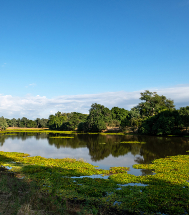 Machaba Safaris Zimbabwe Mana Pools National Park View Machaba Safaris Zimbabwe Mana Pools National Park View
