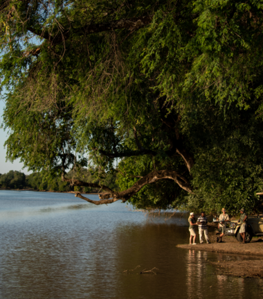 Machaba Mana River Camp Wildlife Sightings May 2026 Safari To Mana Pools