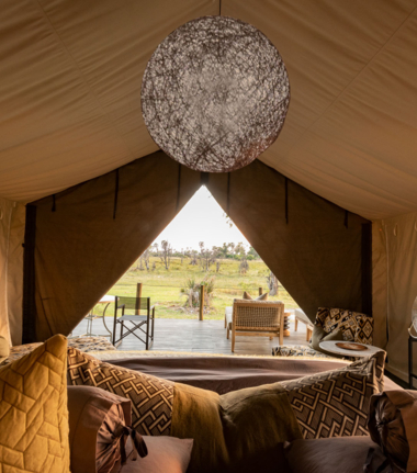 Willdife Sightings Gomoti Plains Botswana August 2024 Rooms